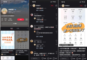 AI变现课07-小红书店铺卖课快钱赚法
