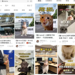 2024流量密码:小红书运营高手的爆款策略全解析